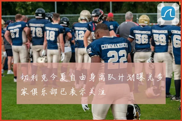 切利克今夏自由身离队计划曝光多家俱乐部已表示关注