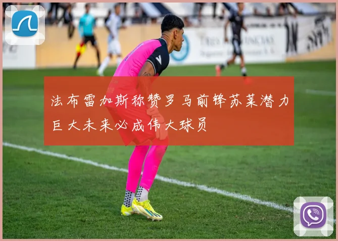 法布雷加斯称赞罗马前锋苏莱潜力巨大未来必成伟大球员