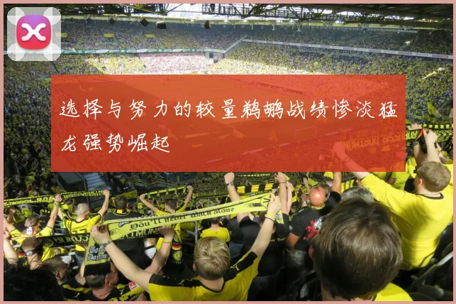 选择与努力的较量鹈鹕战绩惨淡猛龙强势崛起