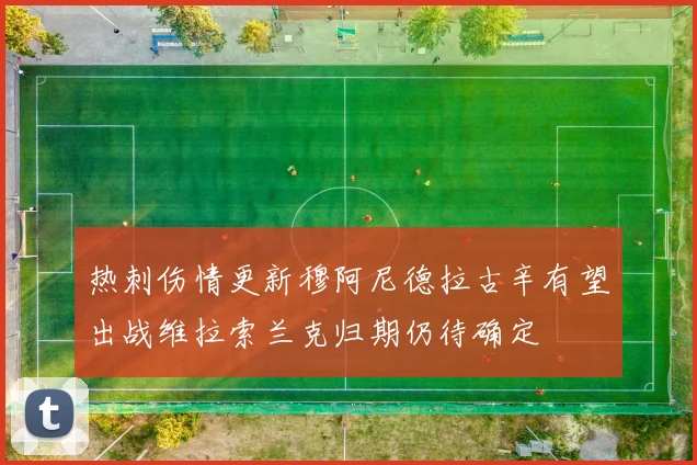 热刺伤情更新穆阿尼德拉古辛有望出战维拉索兰克归期仍待确定